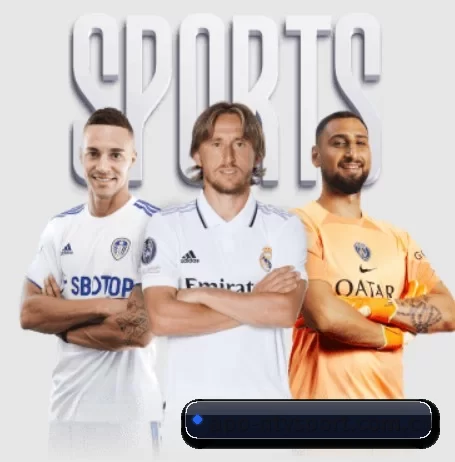 app-qtysport.com.cn APP